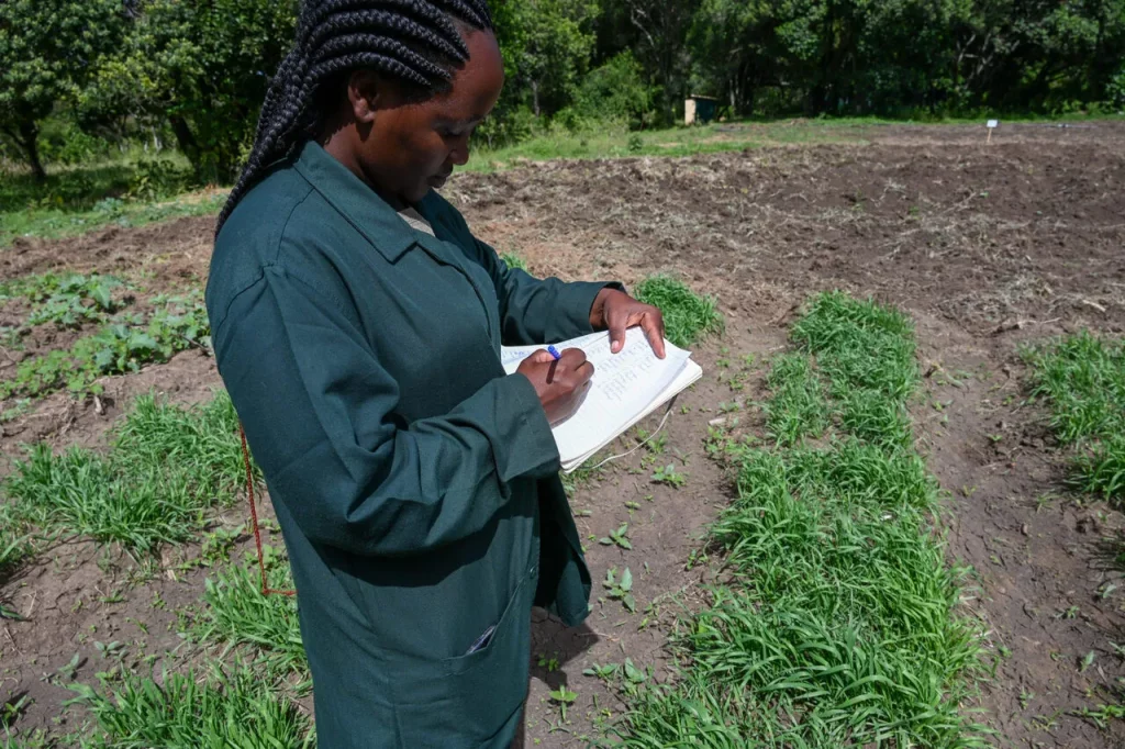 a person writing on a piece of paper in a field
