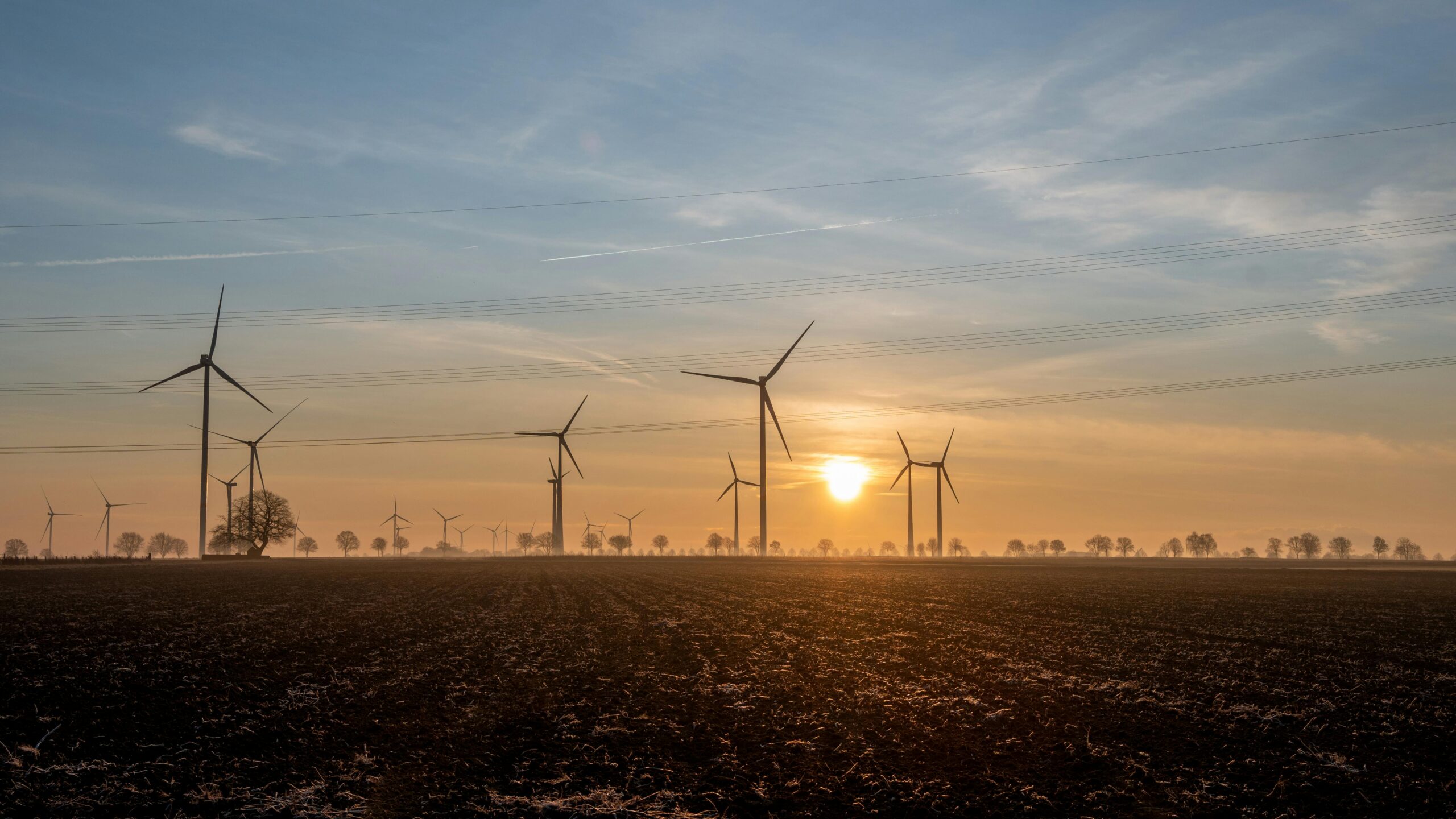 Invest in renewable energies